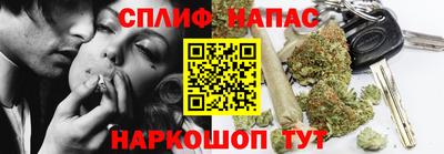 прущие грибы Сланцы