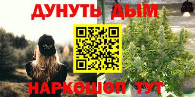 apvp Севастополь