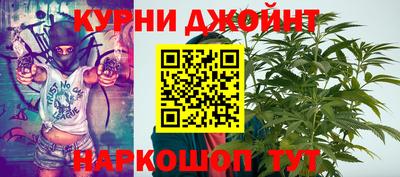 прущие грибы Сланцы
