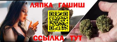 прущие грибы Сланцы