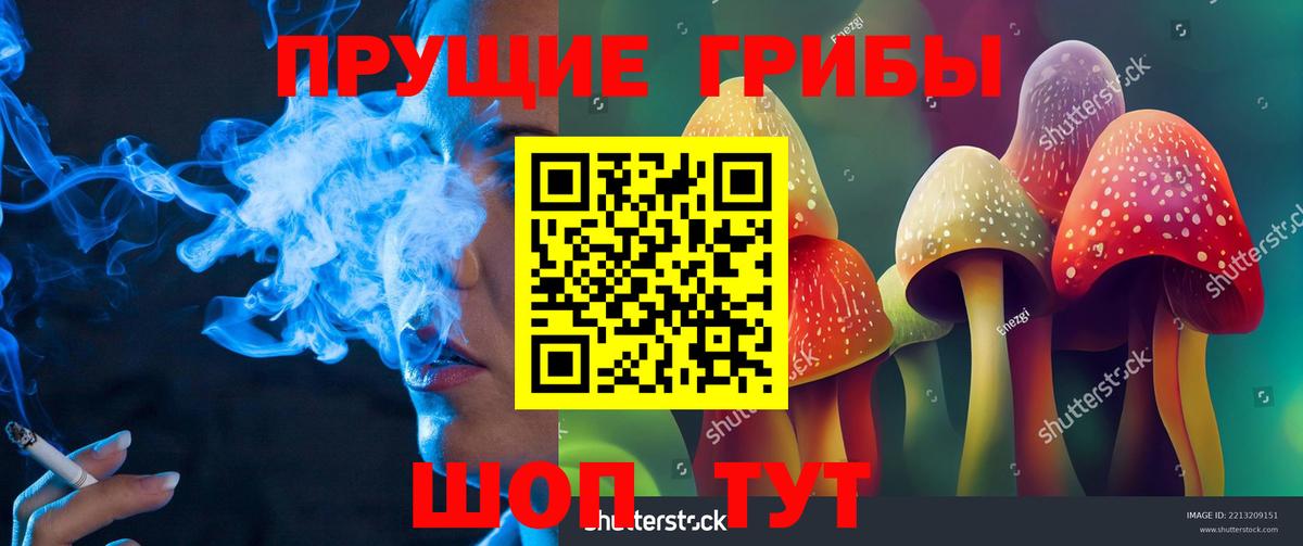 Россошь  Галлюциногенные грибы Cubensis  Псилоцибиновые грибы ЛСД  Вход с VPN 